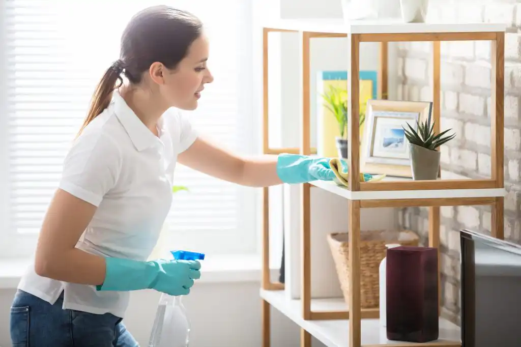 Recurring Maid Services Brunswick OH